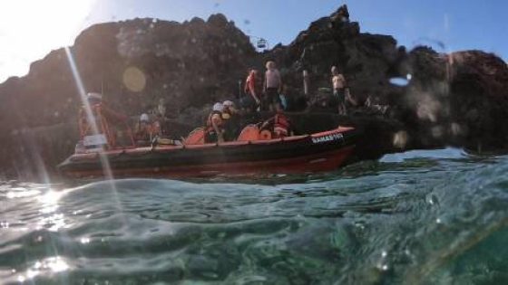 Alegado ataque de lobo marinho aciona resgate a turista