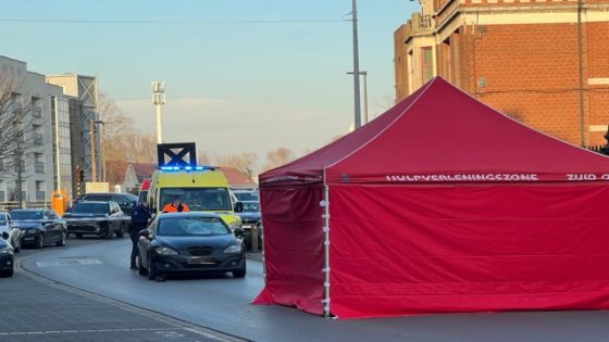 Voetganger (82) overleden na aanrijding door personenwagen in Ninove (Ninove)