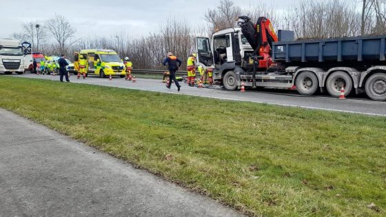 Vrouw overleden na frontale botsing op gewestweg in Dendermonde, kind in levensgevaar