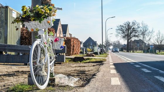 Na dodelijk ongeval van Els Smeyers: nog maar 50 km/uur en trajectcontroles op Steenweg in Diepenbeek - Het Belang van Limburg