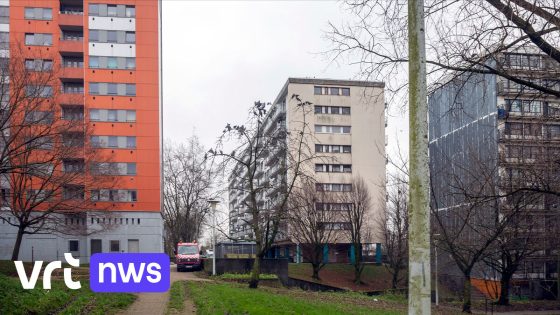 LIVE Schietpartij Anderlecht - Eén dode bij nieuwe schietpartij in Anderlechtse wijk Peterbos 