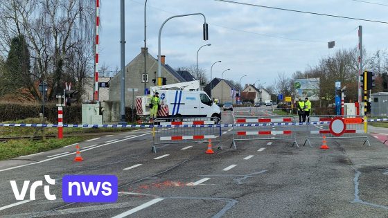 Treinverkeer onderbroken door te hoog geladen tractor aan overweg in Zonhoven