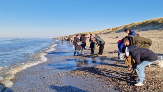 Honderden ‘schattenjagers’ overspoelen strand in De Haan na oproep van minister De Ridder: “Niet iedereen was even blij met al dat volk” (De Haan)