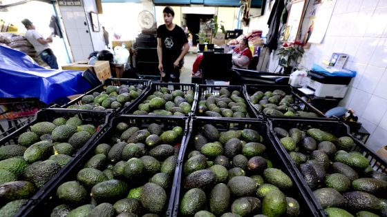 Trump tariffs may raise avocado costs