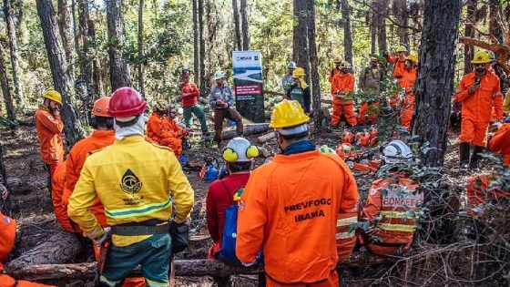 Decreto de Trump suspende parceria EUA-Brasil financiado pela USAID para combate a incêndios florestais | Meio Ambiente