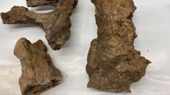 Scientists Stunned After Finding Organic Molecules In A 66 Million Year Old Dinosaur Bone