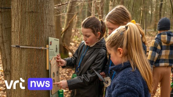 Nieuw escape game in provinciedomein Bulskampveld Beernem maakt verborgen boswereld zichtbaar voor kinderen