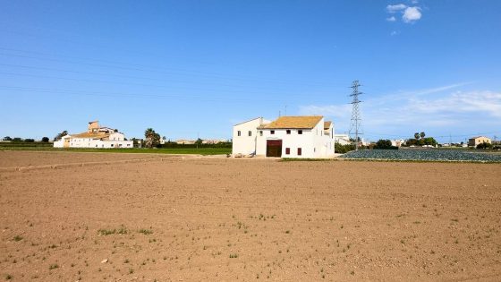 El govern valencià canvia la llei de l'horta per a permetre construir vivendes