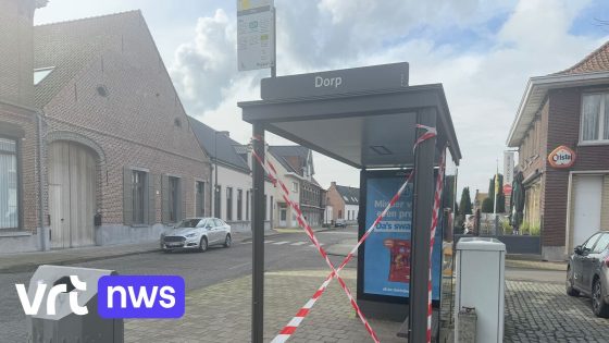 Vandaal met noodhamer trekt spoor van vernieling door Zandvliet: 2 bushokjes en 2 woningen beschadigd 