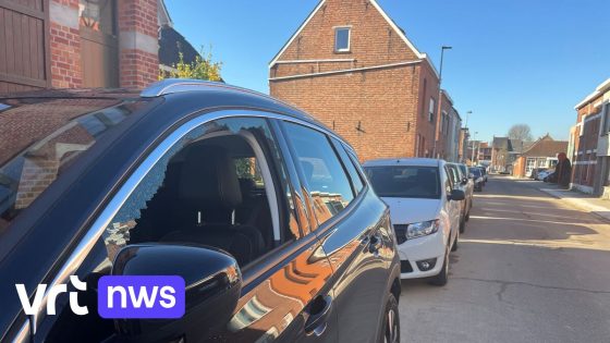 Ruiten van tientallen auto's ingeslagen in Muizen, politie zoekt getuigen