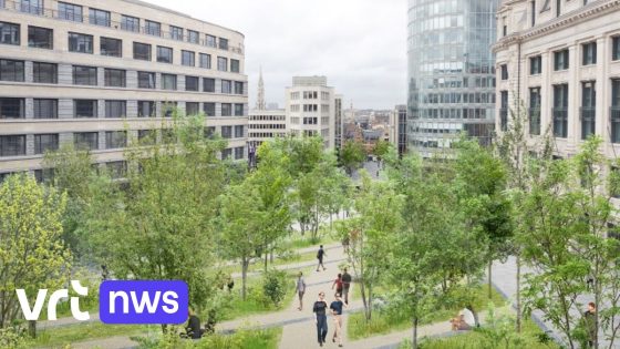 Beeldengroep 'De Rijpheid' van Victor Rousseau op Warandeberg in Brussel maakt plaats voor feministisch werk met afbraakmateriaal