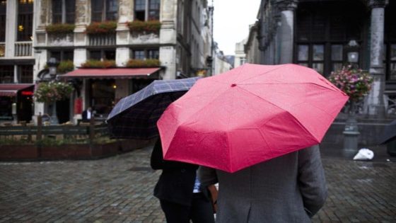 WEER. Regenachtige week, zonniger in het weekend