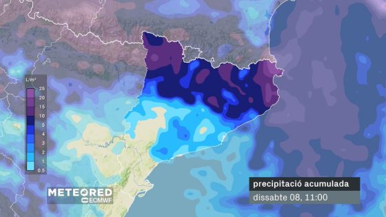 pluja acumulada dissabte 8 febrer 2025