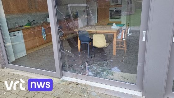 Opgejaagd everzwijn ramt schuifraam in Leefdaal: "We stonden op 2 meter afstand"