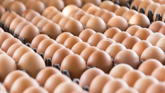 Thieves swipe $40,000 worth of organic eggs from truck in Pennsylvania heist!