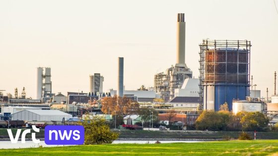 1 op de 10 bedrijfsgronden in Oost-Vlaanderen ingenomen door niet-industriegebonden functies: "Zo verdwijnen investeringen én jobs"