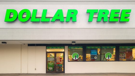 9 Things To Buy at Dollar Tree This Spring If You Live on Social Security