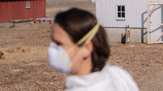 How bird flu has devastated one American farm