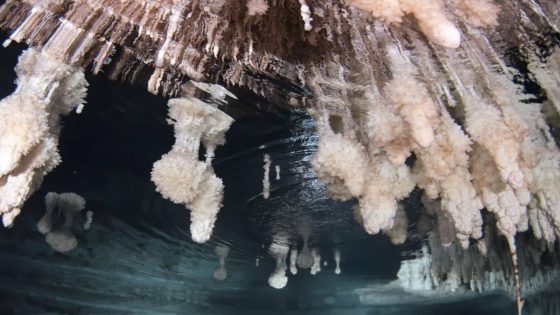 Scientists Discover A 6,000 Year Old Bridge Hidden Beneath The Sea