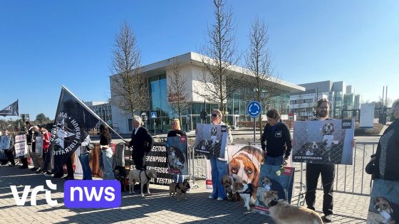 Animal Rights voert actie voor poorten van Johnson & Johnson in Beerse: "14 dode hondjes, dat grijpt mij aan"