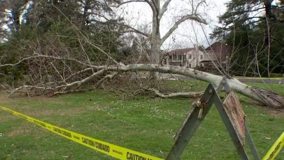 Arborists, fire department prepare as storm approaches Sacramento