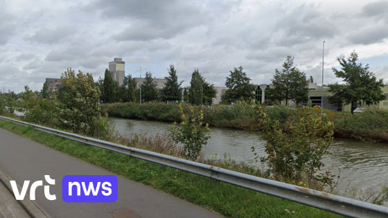 Fietser moet uitwijken voor kat en belandt in koude water van Leuvense Vaart