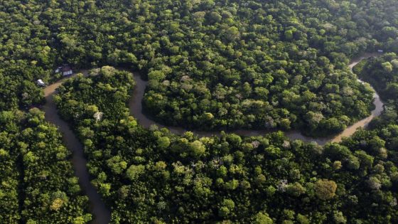 To Prep for Climate Summit, Brazil Cuts Down Rainforest