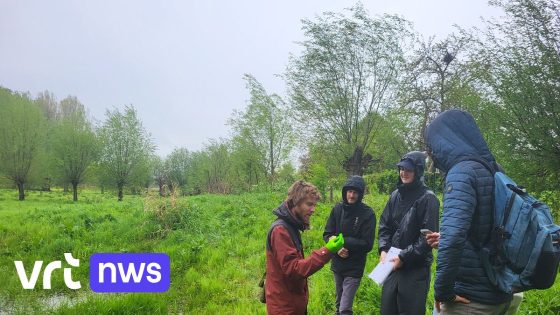 Wetenschappers vinden 2.300 soorten dieren, planten en paddenstoelen in onderzoeksbos van Gentse universiteit