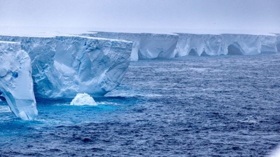 World’s biggest iceberg runs aground off South Georgia