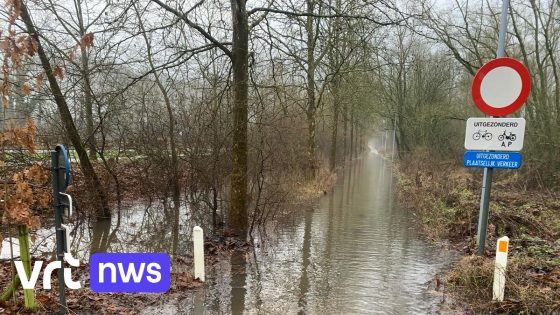 Aannemer gaat grote hoeveelheid modder weghalen uit Bellebeek in Affligem: "Overstromingen voorkomen"