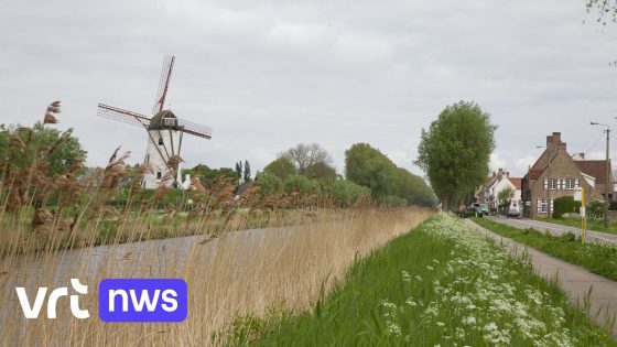 Inwoners Damme krijgen burgerbevraging in de bus: "Willen met kleine ingrepen leven beter maken"