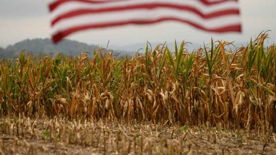 Deere, Farm Stocks Drop. Trump Says Tariffs Coming on Imported Food Products. - Barron's