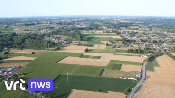 Defensieminister Theo Francken (N-VA) schept duidelijkheid: er komt geen grote legerkazerne in Geraardsbergen