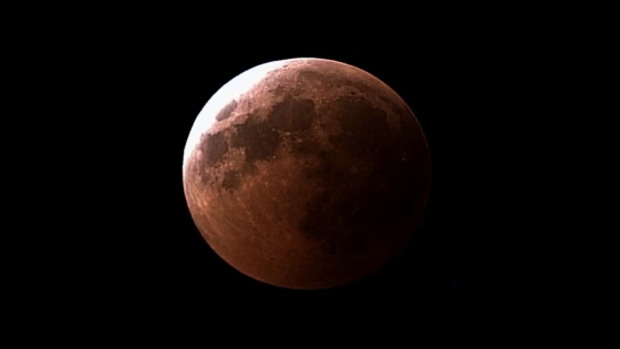 How to see the moon turn red during March’s total lunar eclipse - WSVN 7News | Miami News, Weather, Sports