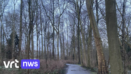 Fietser in beroep vrijgesproken voor dodelijk fietsongeval in Leuven, geen schadevergoeding van 120.000 euro - VRT.be