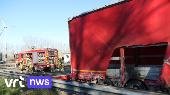 Inzittenden vrachtwagen blussen brand in oplegger op E17 Kruibeke en redden materiaal van 500.000 euro