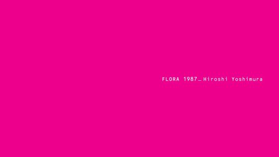 Hiroshi Yoshimura: Flora Album Review