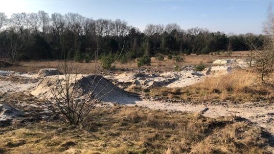 Illegaal oefenparcours mountainbikers ontdekt in natuurgebied: “100 jaar voor beschadigde natuur zich herstelt” - Het Belang van Limburg