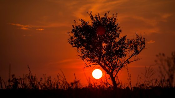 Março pode ter a semana mais quente da história no Brasil