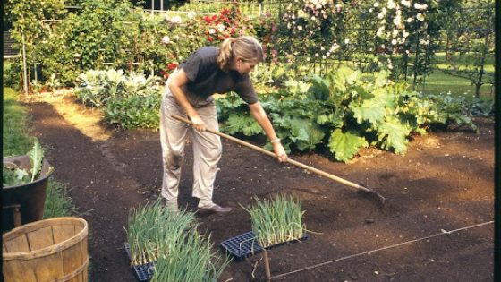 Martha Stewart on wanting to be ‘one of the girls’ and her love of gardening : NPR