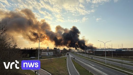 Zware bedrijfsbrand in Brugge: grote rookpluim te zien, politie vraagt omgeving te vermijden