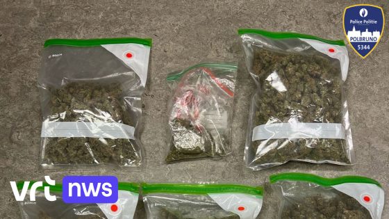 Drugs en tienduizenden euro cash geld in beslag genomen bij drugsdealer in Schaarbeek