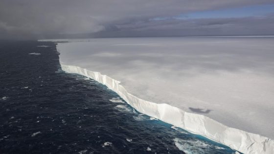 World's Biggest Iceberg Runs Aground