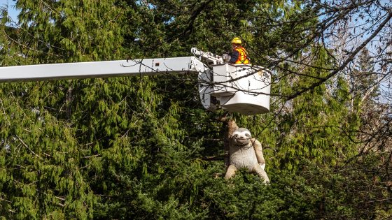 WSDOT crew removes large sloth stuffed animal from I-5 roadside near Bellingham