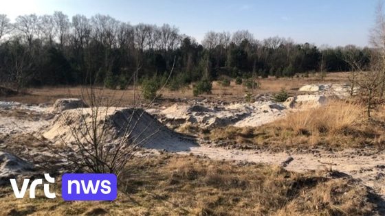 Natuurpunt Lommel dient klacht in tegen onbekenden voor illegaal mountainbikeparcours in Balimheide