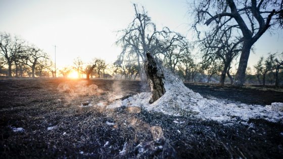 Oklahomans survey devastation after hundreds of homes are destroyed and damaged by wildfires