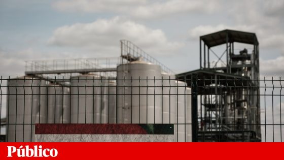 Bagaço de azeitona do Alentejo vai continuar a invadir Lisboa com mau cheiro | Ambiente