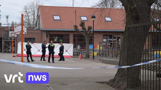 Parket vraagt opschorting voor 4 betrokkenen na dood van Jack (11) op speelplaats in Ekeren, advocaat familie: "Er zijn kapitale fouten gemaakt"