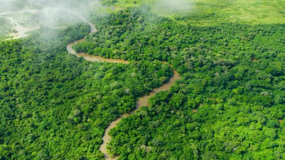 Early Humans Lived In Rainforests 80,000 Years Earlier Than We Thought