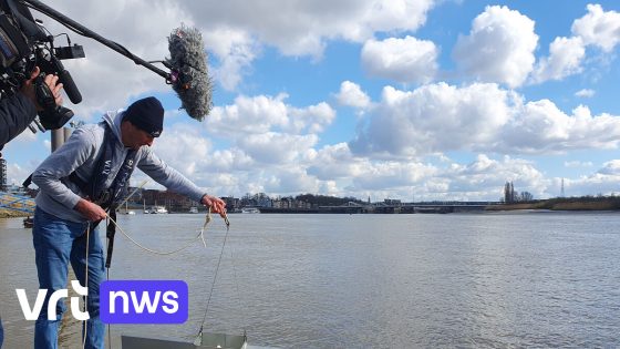 Van 'mantanet' tot drones: pilootproject aan Schelde in Temse moet plasticvervuiling tegengaan